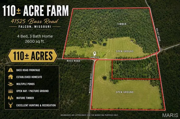 41525 Bass RD, Falcon, MO 65470