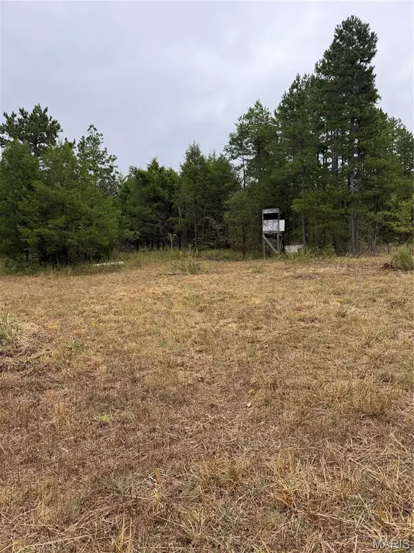 1616 Carter 164, Fremont, MO 63941