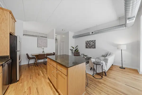 1919 S Michigan AVE #208, Chicago, IL 60616