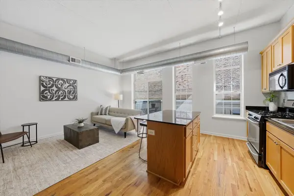 1919 S Michigan AVE #208, Chicago, IL 60616