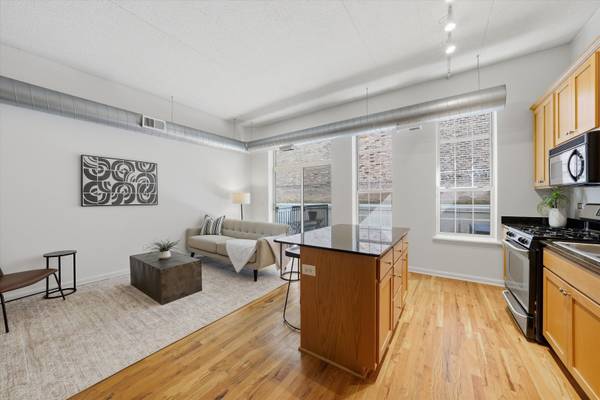 1919 S Michigan AVE #208, Chicago, IL 60616