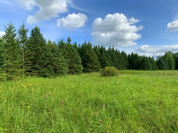 XXX Pheasant Hill RD NE, Osakis, MN 56360