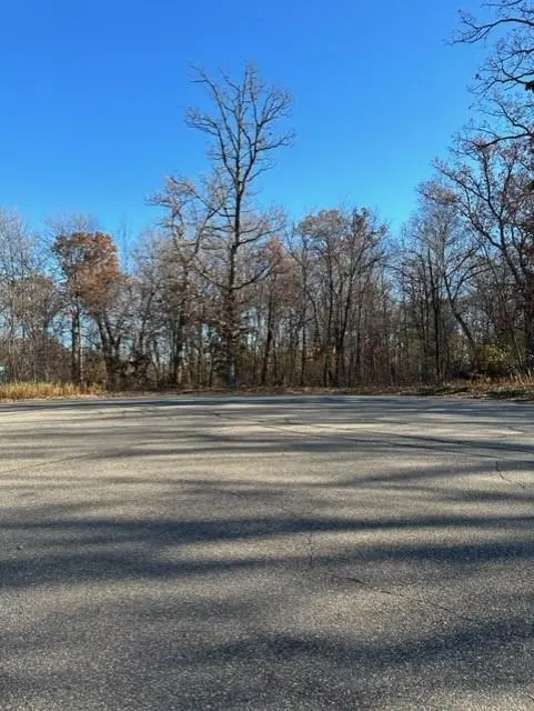 xxx 263rd ST, Shafer, MN 55074