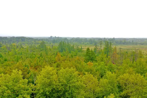 NA Durant Street NE, Isanti, MN 55040