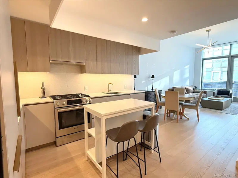 3 Court SQ #533, Long Island City, NY 11101