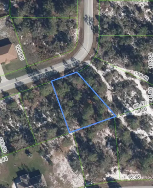 110 BONNIE RD NW, Lake Placid, FL 33852
