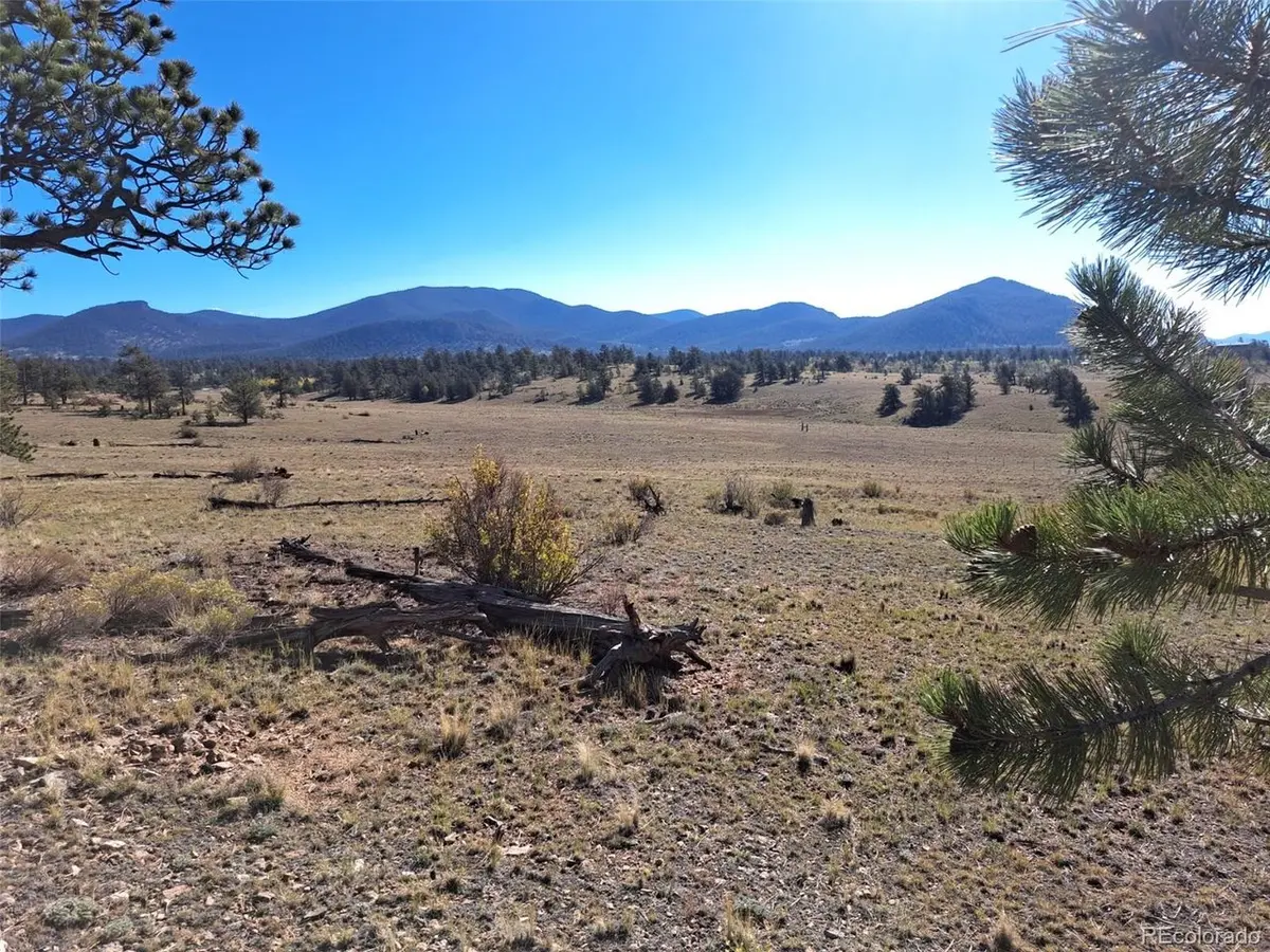 508 Grand Teton, Hartsel, CO 80449