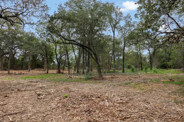 Lot 1 CR 491, Elgin, TX 78621