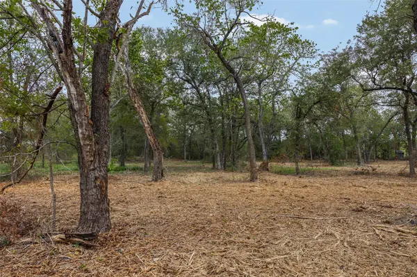 Lot 1 CR 491, Elgin, TX 78621