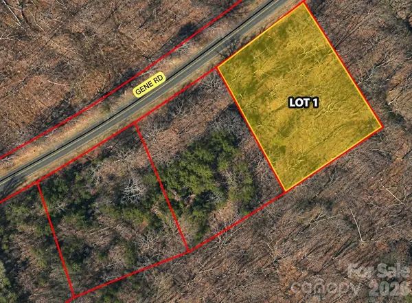 Lot 1 Gene RD, New London, NC 28127