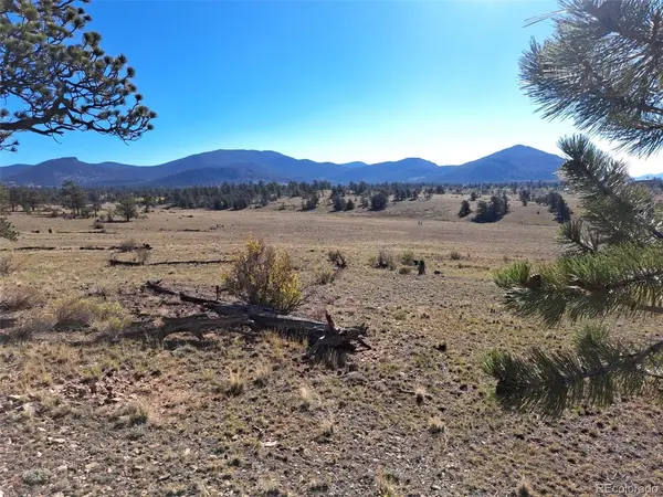 508 Grand Teton, Hartsel, CO 80449