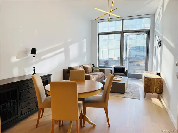3 Court SQ #533, Long Island City, NY 11101