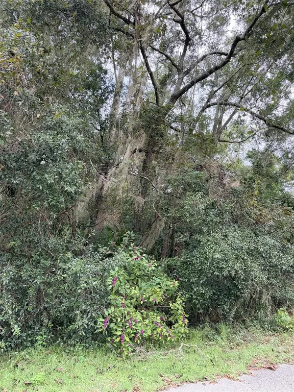 0 NW 66TH TER, Chiefland, FL 32626