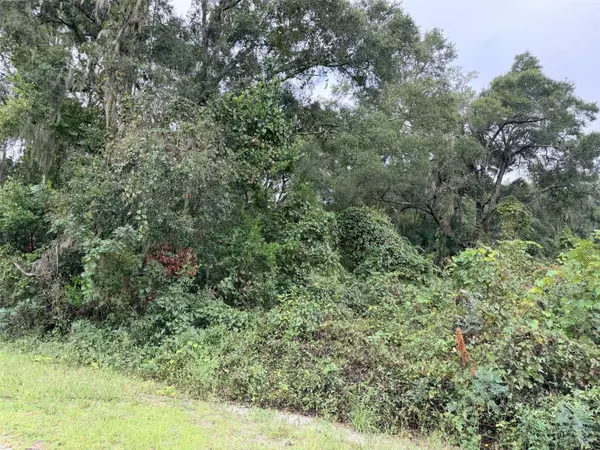 0 NW 66TH TER, Chiefland, FL 32626