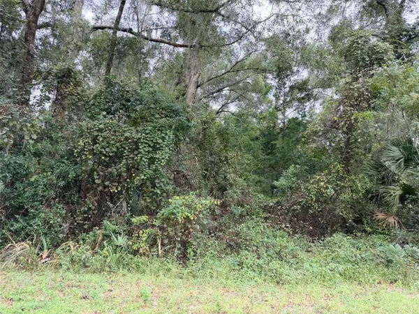 0 NW 66TH TER, Chiefland, FL 32626