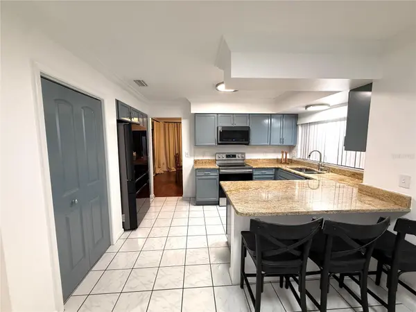 4717 DEERWALK AVE, Tampa, FL 33624