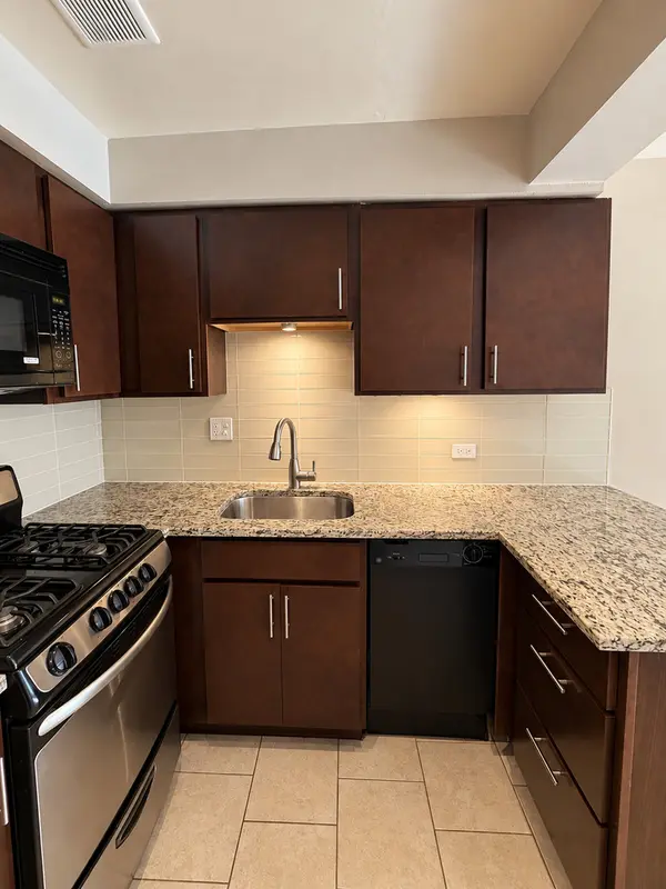 3610 N Pine Grove AVE #505, Chicago, IL 60613