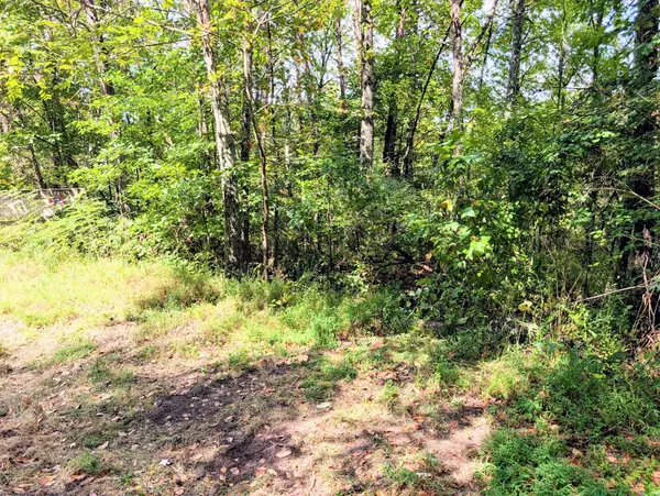 0 Man Street, Tracy City, TN 37387