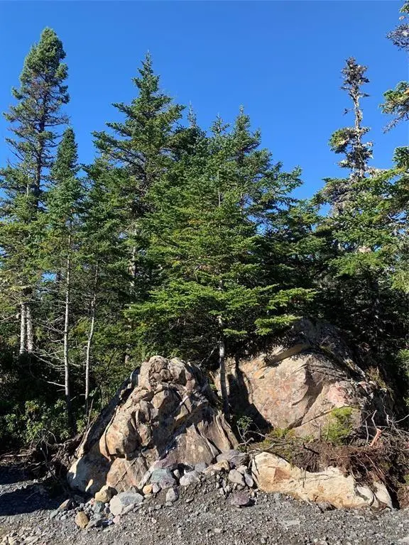 LOT 5 Halleran Trail, Brigus Junction, NL A0B 1G0