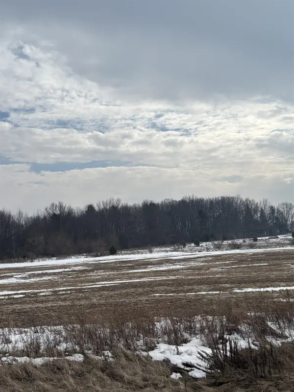 000 Pine Ridge DR, Deerfield Twp, MI 48858