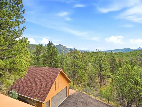 15194 S Swiss, Pine, CO 80470