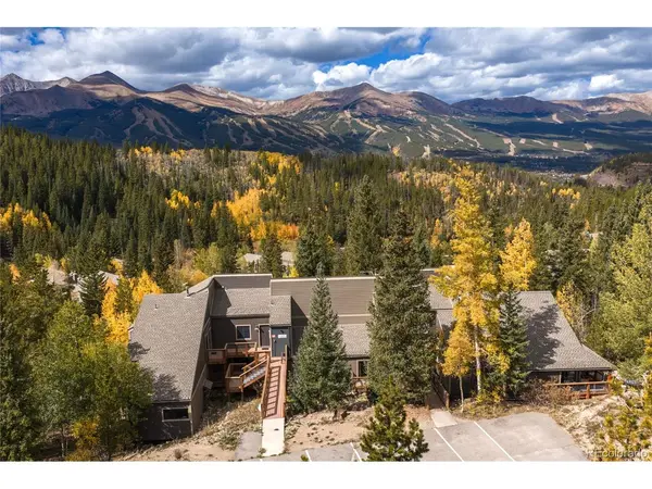 28 Illinois Gulch ##4, Breckenridge, CO 80424