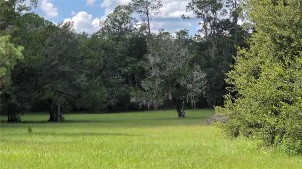 509 N COURT ST, Bronson, FL 32621