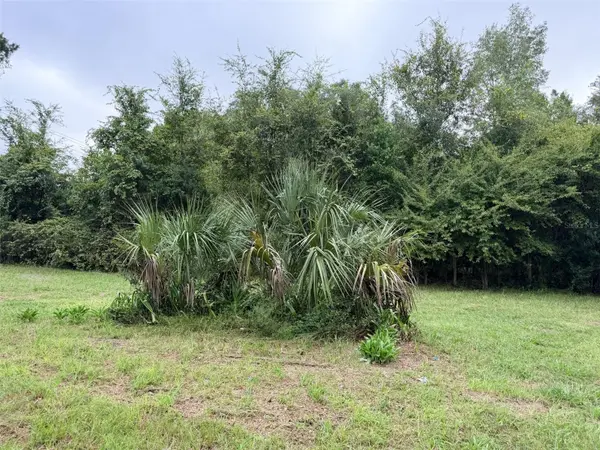6690 NW 100TH ST, Chiefland, FL 32626