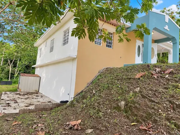 363 KM 2.1 CLL MIGUEL LUGO MADERA, Sabana Grande, PR 00637