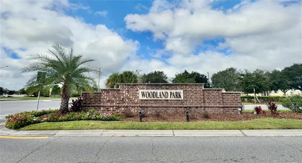10805 WYNE TREE CT, Orlando, FL 32824