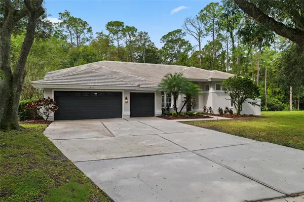 3951 BRIGHTSIDE LN, Palm Harbor, FL 34685