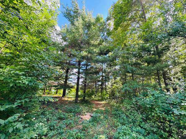 Lots 7 & 8 Morningside Drive, Merrifield, MN 56465