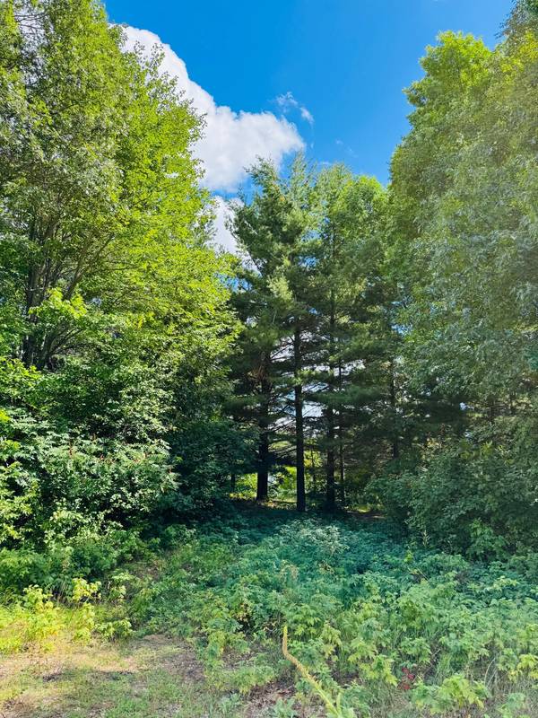 Lots 7 & 8 Morningside Drive, Merrifield, MN 56465