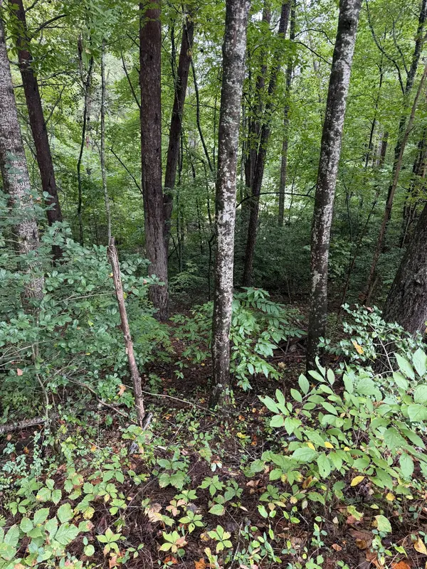 0 Little Wolfcreek Road, Murphy, NC 28906