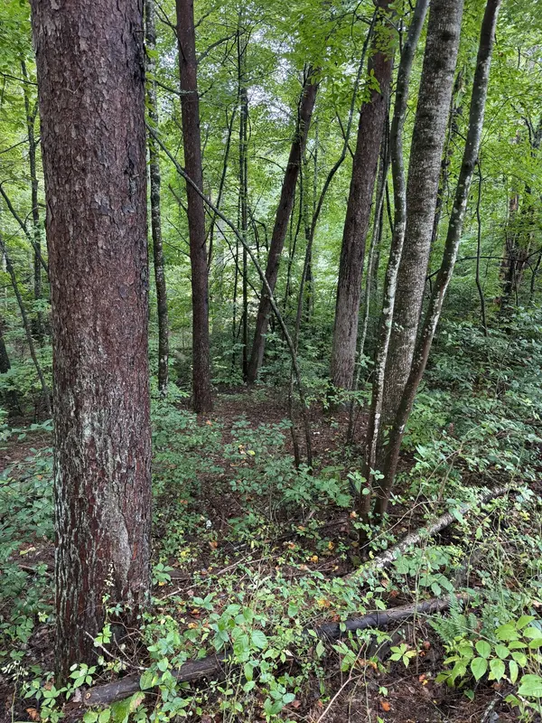 0 Little Wolfcreek Road, Murphy, NC 28906