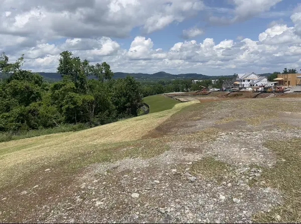 115 Berry Hunter Lane, Franklin, TN 37067