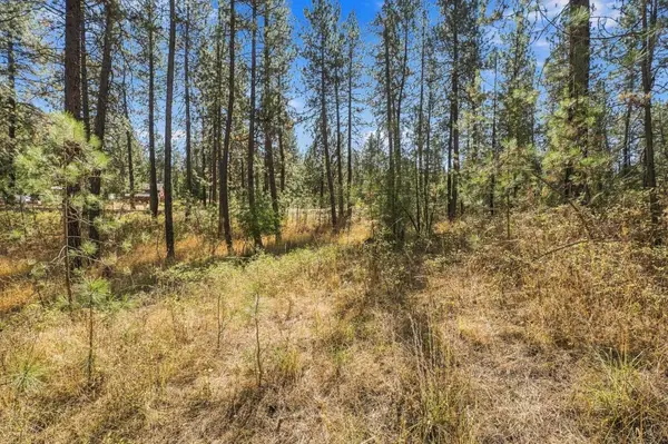 XXX W Thorpe Rd, Spokane, WA 99224