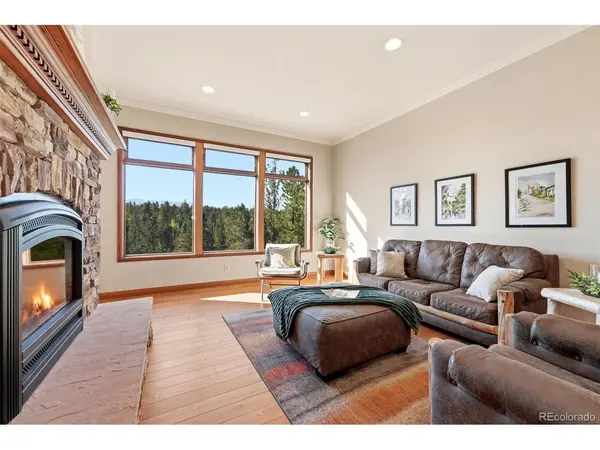 1509 County Road 25, Divide, CO 80814