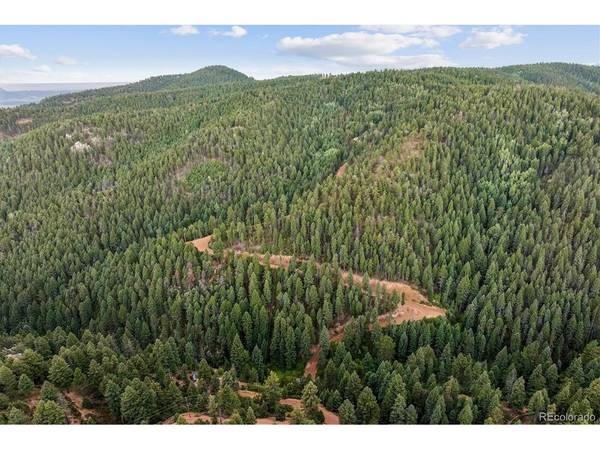 Forest Lane, Larkspur, CO 80118