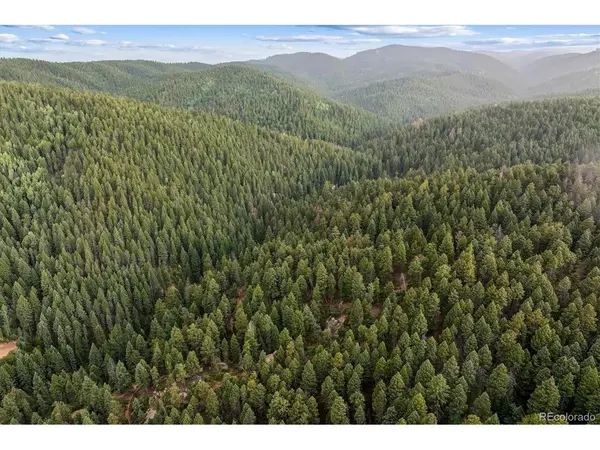 Forest Lane, Larkspur, CO 80118