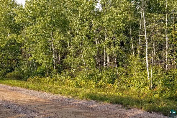 TBD Crane Lake Rd, Orr, MN 55771