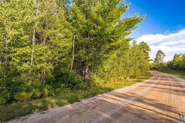 TBD Crane Lake Rd, Orr, MN 55771
