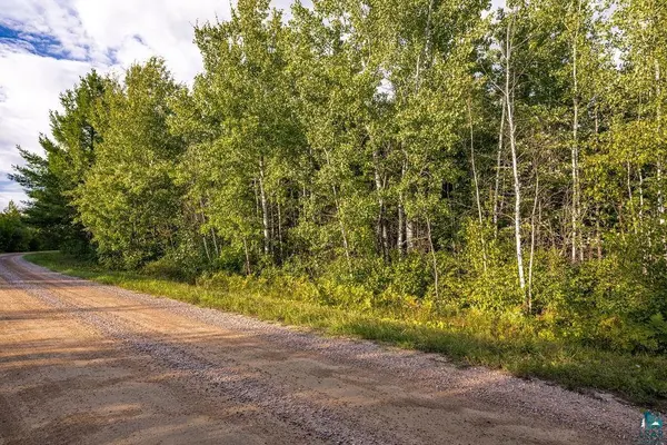 TBD Crane Lake Rd, Orr, MN 55771