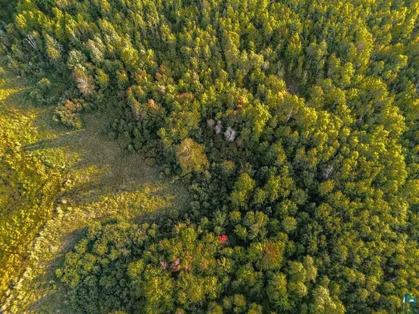 TBD Crane Lake Rd, Orr, MN 55771