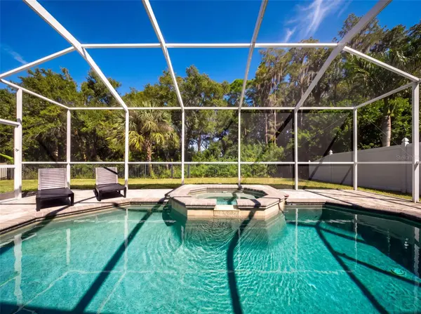 11621 RENAISSANCE VIEW CT, Tampa, FL 33626