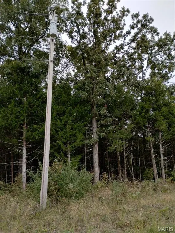 11050 County Road 2220, Rolla, MO 65401