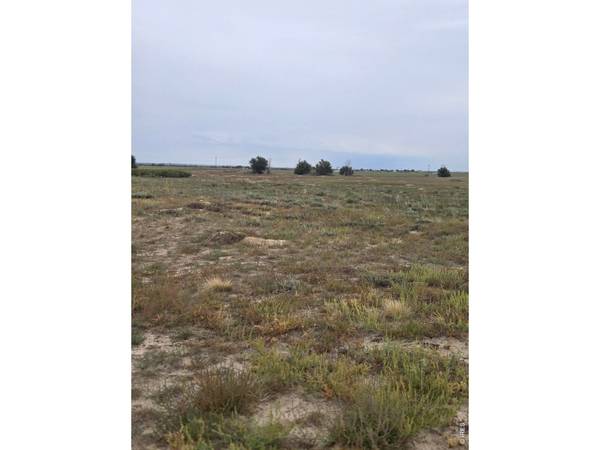 County Road T, Brush, CO 80723