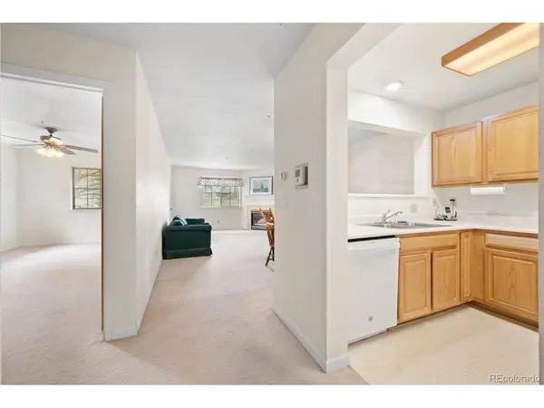 31719 Rocky Village #212, Evergreen, CO 80439