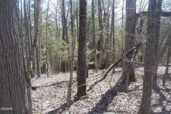 4 Flat Creek Rd, Sevierville, TN 37876