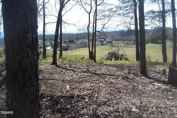 4 Flat Creek Rd, Sevierville, TN 37876